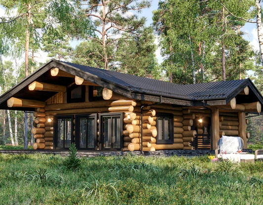 Дома из бревна